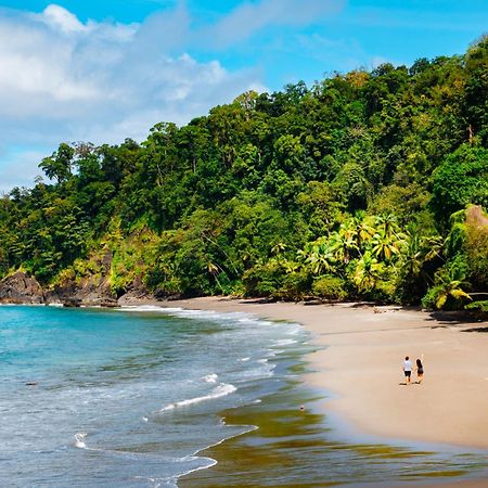 Corcovado Wilderness Lodge By Scp San Pedrillo ภายนอก รูปภาพ