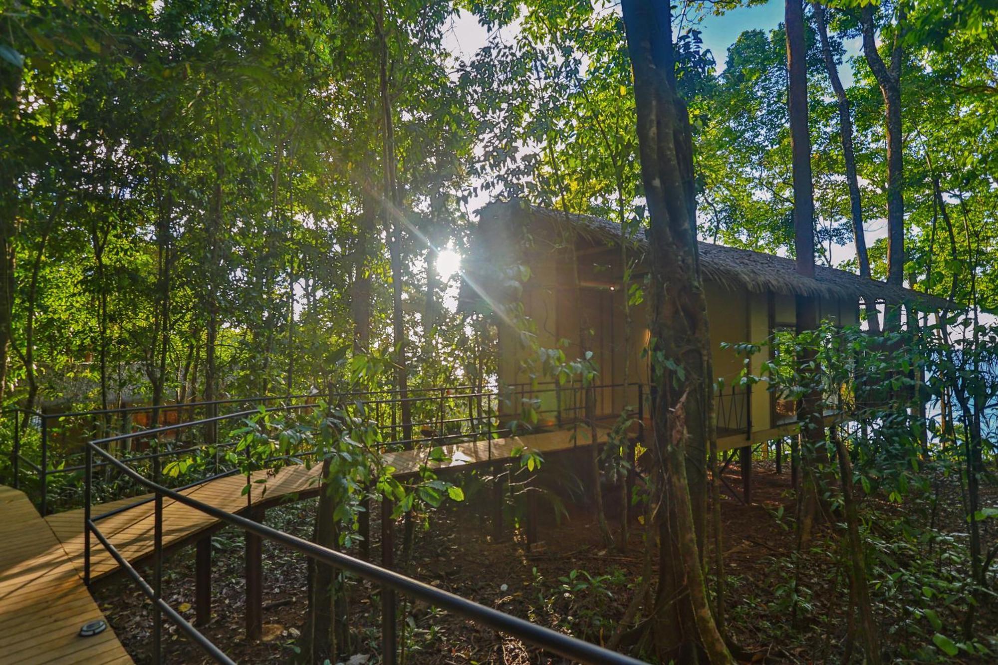 Corcovado Wilderness Lodge By Scp San Pedrillo ภายนอก รูปภาพ