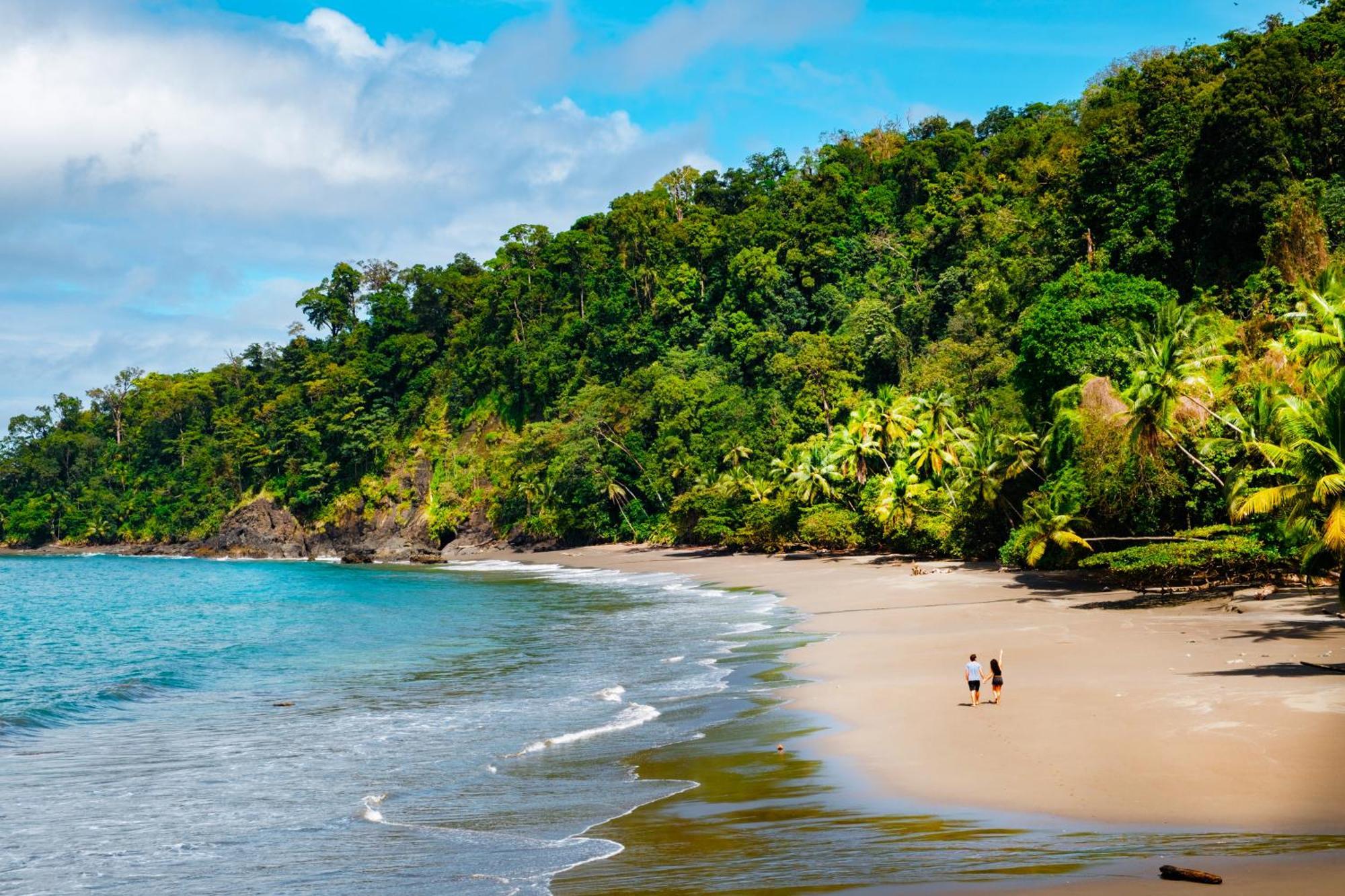 Corcovado Wilderness Lodge By Scp San Pedrillo ภายนอก รูปภาพ
