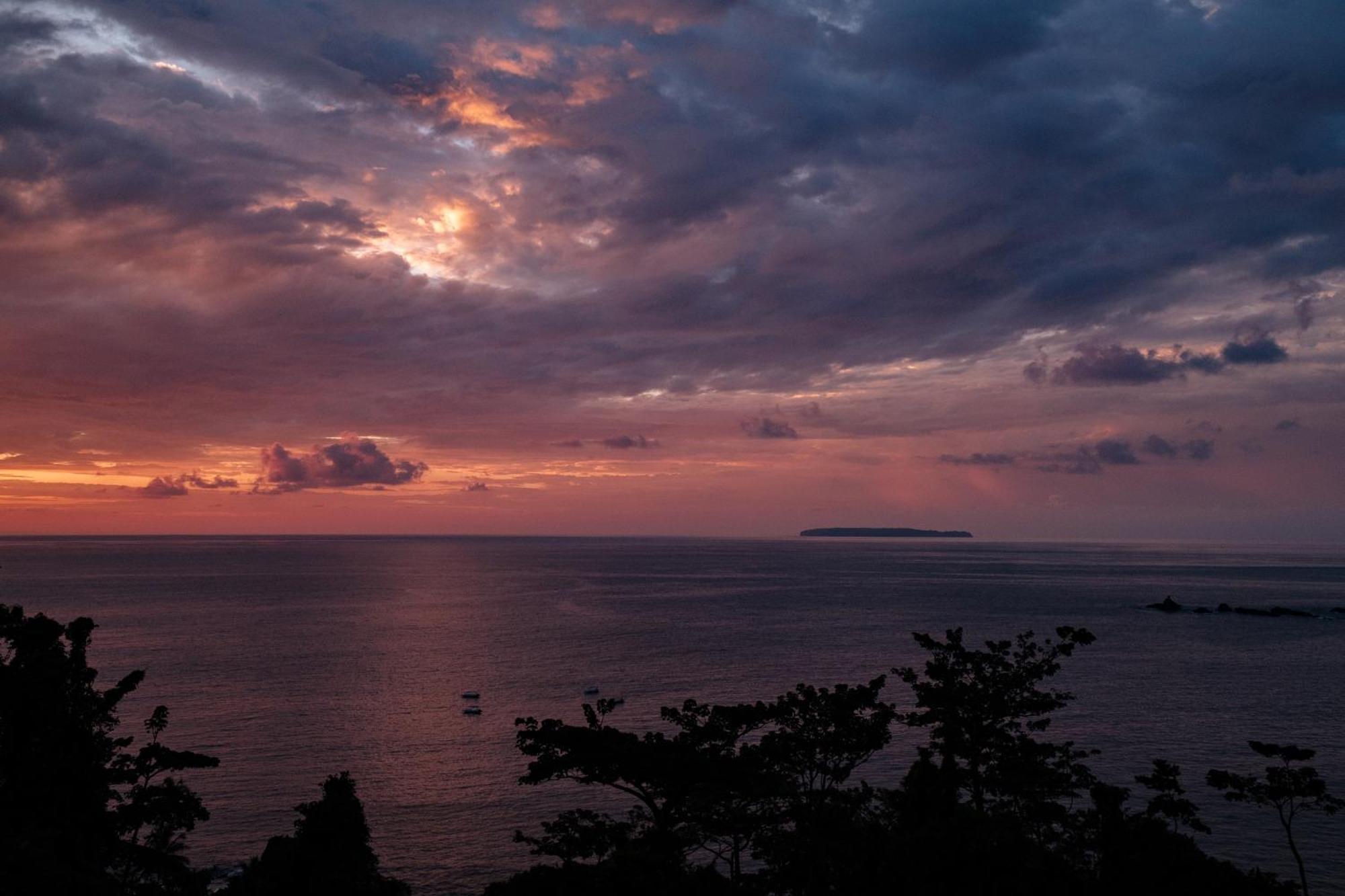 Corcovado Wilderness Lodge By Scp San Pedrillo ภายนอก รูปภาพ