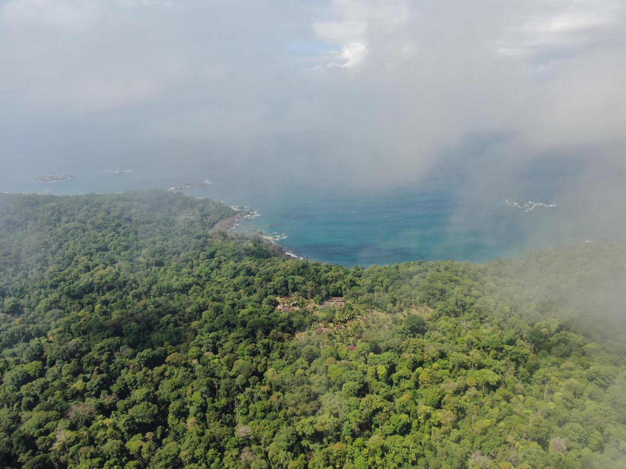 Corcovado Wilderness Lodge By Scp San Pedrillo ภายนอก รูปภาพ