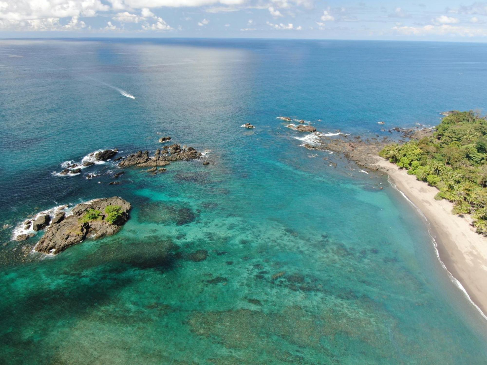 Corcovado Wilderness Lodge By Scp San Pedrillo ภายนอก รูปภาพ