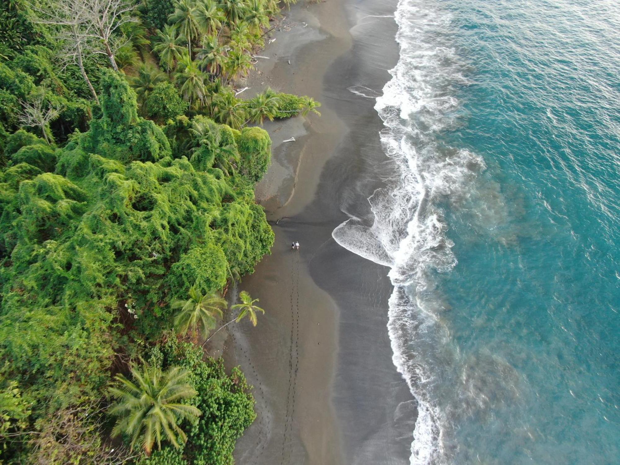 Corcovado Wilderness Lodge By Scp San Pedrillo ภายนอก รูปภาพ
