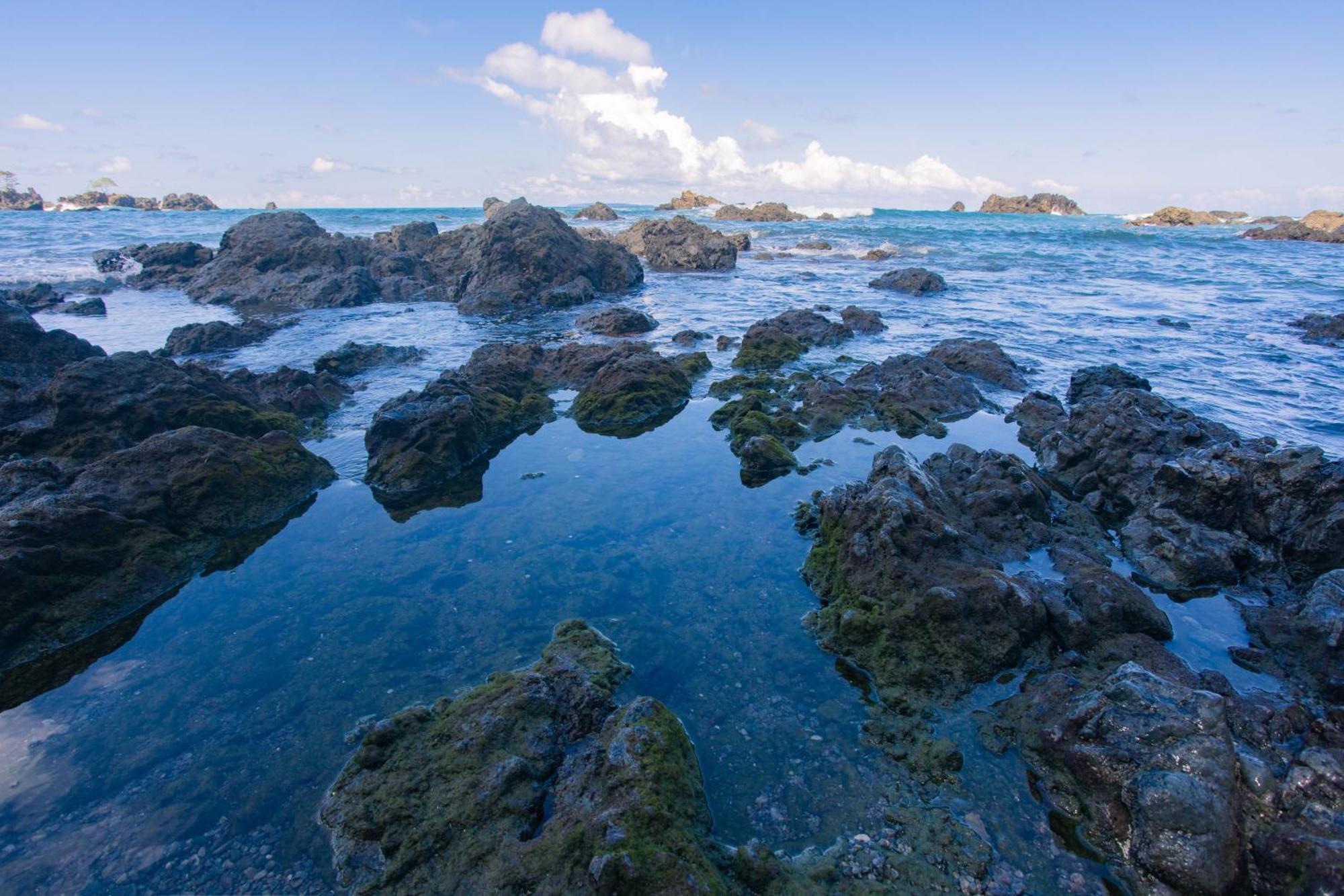 Corcovado Wilderness Lodge By Scp San Pedrillo ภายนอก รูปภาพ