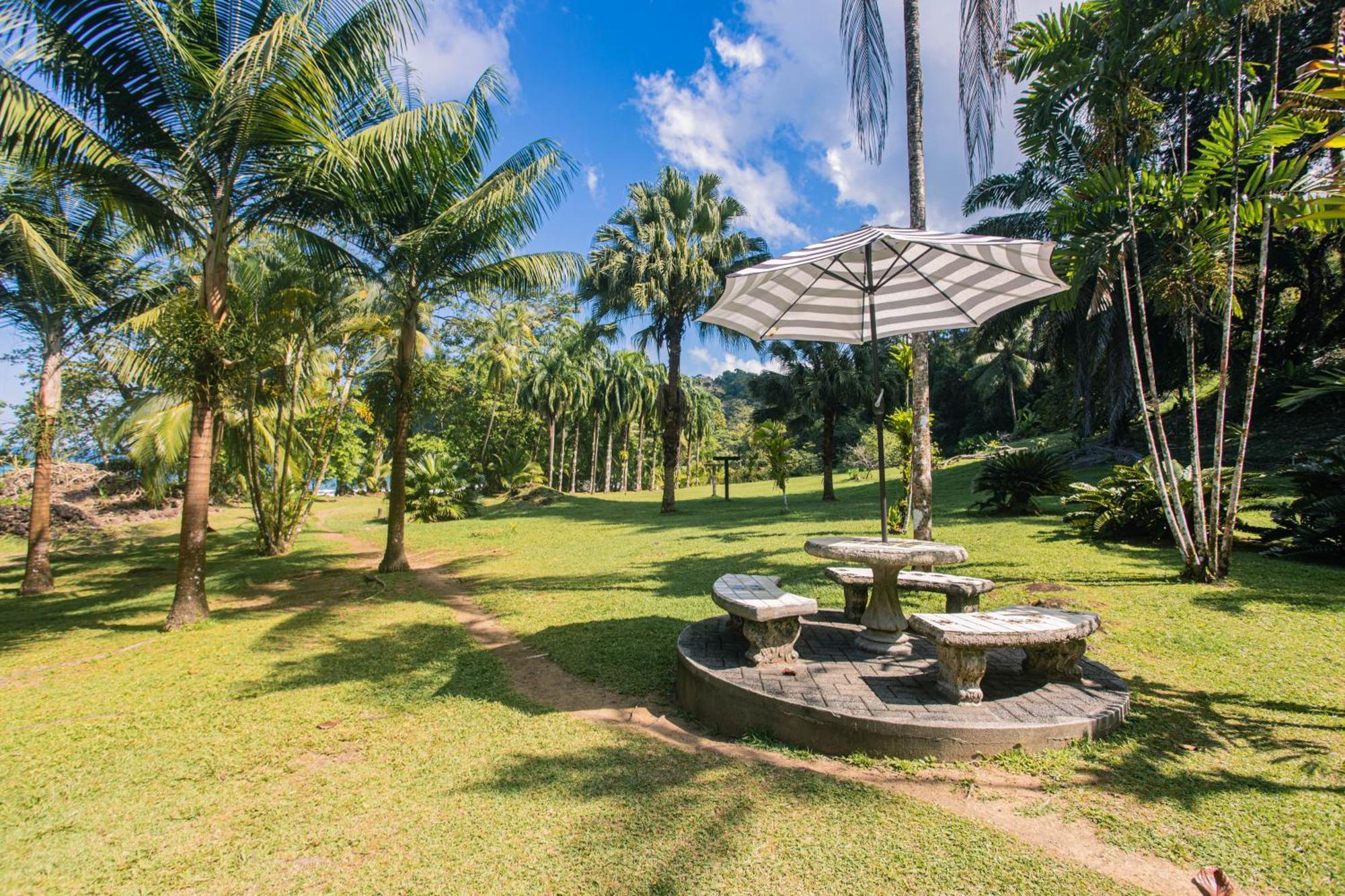 Corcovado Wilderness Lodge By Scp San Pedrillo ภายนอก รูปภาพ