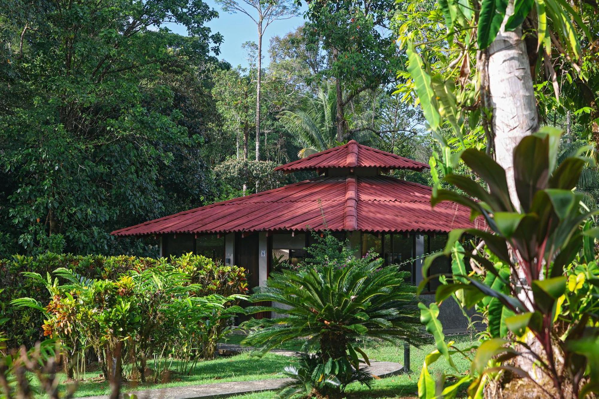 Corcovado Wilderness Lodge By Scp San Pedrillo ภายนอก รูปภาพ